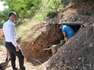 Sokak Canlıları İçin Doğal Yaşam Alanları Oluşturuldu