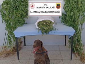 Mardin’de Uyuşturucu Ve Tarihi Eser Kaçakçılığı Operasyonu: 5 Gözaltı
