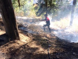 Çamlıkta Çıkan Yangın Büyümeden Söndürüldü