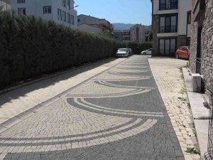 Ezdiği Köpeğe Aldırış Etmeden Aracını Park Edip Gitti