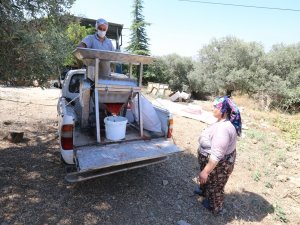 Selçuk’ta Salça Zamanı