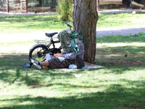 Sıcaktan Bunalan Soluğu Gölgede Aldı