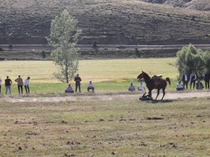 Düğün İçin Oynanan Ciritte Ciritçinin Attan Düşmesi Kameraya Yansıdı