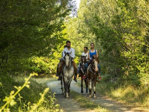 Turizm Geliri Geçen Yılın Aynı Çeyreğine Göre Yüzde 190,2 Arttı