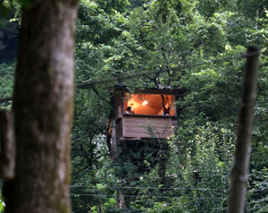 Rizeli vatandaş dört ağacın gövdesine bağlı, yerden 20 metre yüksekte ev yaptı