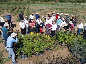 Engelsiz Tarımda Hasat Zamanı