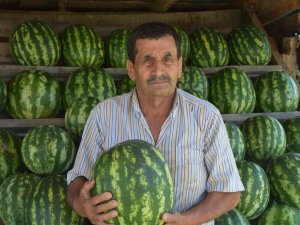 Yetiştirdiği Organik Karpuzları Yol Kenarında Satıyor