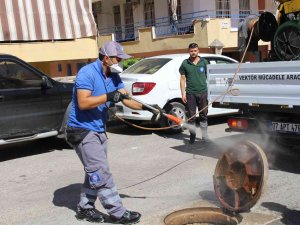 Sinek Ve Haşereyle Mücadele Sürüyor