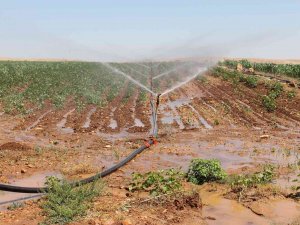 Tarımsal Sulamada Kaçak Elektrik Tüketimi Alarm Veriyor