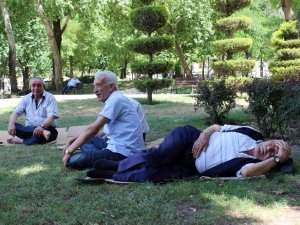 Kavurucu Sıcaktan Korunmak İçin Gölgelere Sığındılar