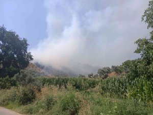 İ̇zmir’de Ormanlık Alanda Yangın