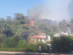 Marmaris’te Orman Yangını