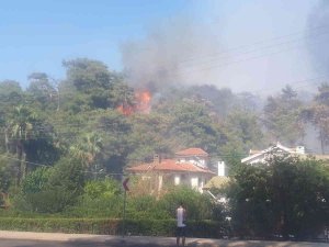 Marmaris’teki Orman Yangını Kontrol Altına Alındı