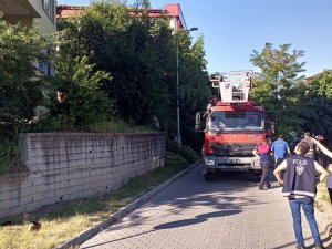 Ocakta Unutulan Düdüklü Tencere Mahalleliyi Korkuttu