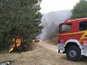 Denizli’de Orman Yangını Büyümeden Söndürüldü