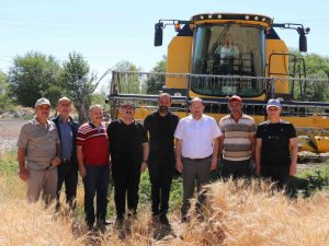 Buğday Rekoltesi Çiftçinin Yüzünü Güldürdü