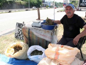 Yeni Sezon Fındığı Yol Kenarlarında Satışa Çıktı