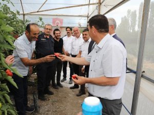 17. Söğüt Domates Kültür Festivali Başladı