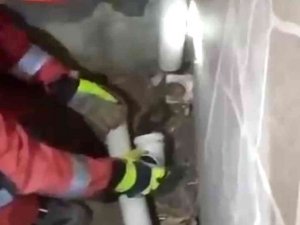 Boruya Sıkışan Kedi Yavrusunu İtfaiye Ekipleri Kurtardı