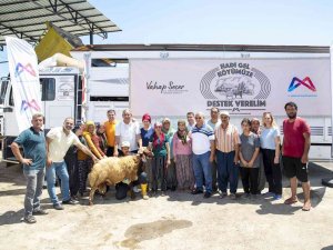 Mersin’de 18 Yetiştiriciye 450 Küçükbaş Hayvan Desteği