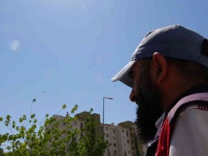 Çocukluktan İtibaren Güneşe Maruz Kalmak Cilt Kanseri İçin Ciddi Bir Risk Faktörü