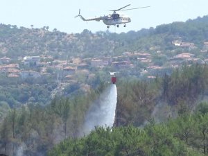 Balıkesir’deki Orman Yangını Söndürüldü