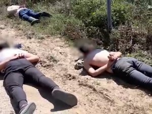 Bursa’da Ormana Uyuşturucu Diktiler, Suç Üstü Yaptılar