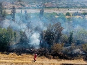 Üzümlü’de Örtü Yangını Büyümeden Söndürüldü