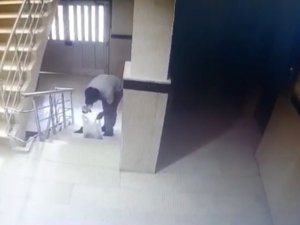 Batman’da Bisikletli Hırsız Kameraya Takıldı
