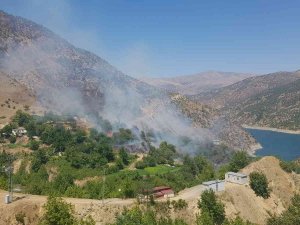 Aşırı Sıcaklar Yangına Sebep Oluyor