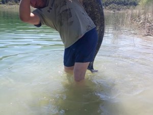 Gölde Yakaladığı Dev Yayın Balığını Sırtında Zor Taşıdı