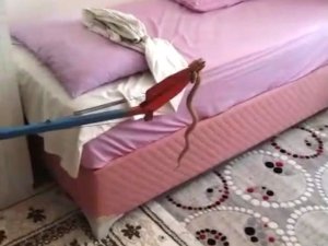 Besni’de Eve Giren Yalan Yakalandı