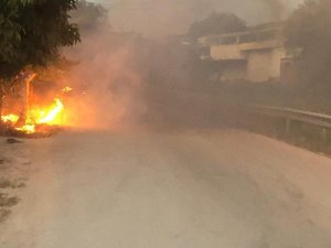 Bursa’da Çalılık Alanda Çıkan Yangın Paniğe Sebep Oldu