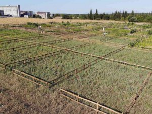 Üniversite Personeli Ekolojik Bahçelerde Doğa İle Bütünleşiyor