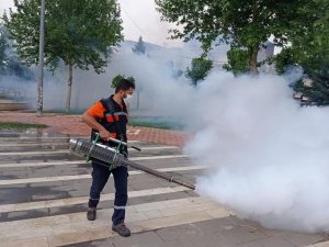 Batman’da 16 Bin Baca Kapağı Tek Tek Açılarak İlaçlandı