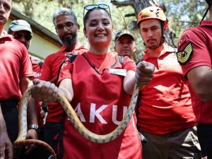 Stk’lara Hayvan Arama Kurtarma Eğitimi