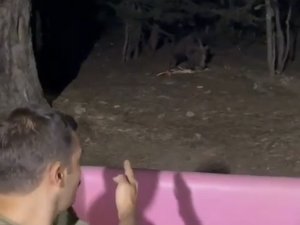 Uludağ’da Bahçesine Gelen Ayıyla Konuştu, O Anlar Kameralarda