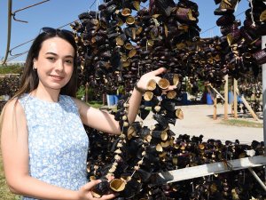 Nazilli’den Dünyaya Doğal Lezzet: Kurutulmuş Patlıcan