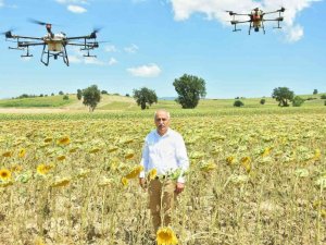 Yenişehir’de Çayır Tırtılı Zararlısına Anında Müdahale İle Ekonomiye 300 Milyon Tl Kazandırıldı