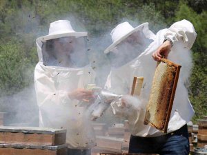 Şifa Kaynağı “Oğul Balı”