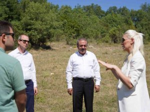 Bilecik’te Belediyeye Ait Tarım Arazilerinde Ata Tohumları Ekilip Biçilecek