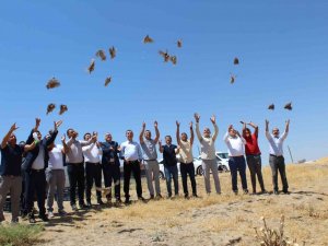 Batman’da Süne İle Mücadele İçin Doğaya Keklik Salındı
