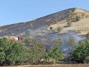 Tunceli’deki Örtü Yangını Söndürüldü