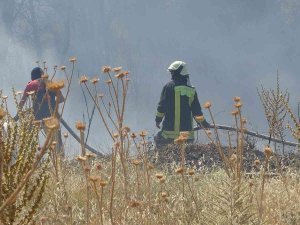 Örtü Yangınında Arı Kovanları Ve Ağaçlar Küle Döndü