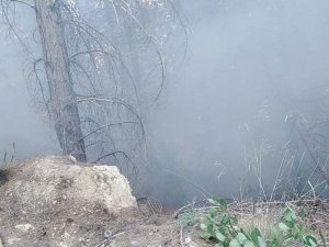 Burdur’da Orman Yangını