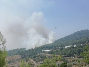 Mersin’deki Orman Yangını Kontrol Altına Alındı