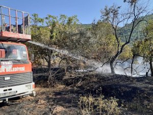 Tunceli’de Örtü Yangını Söndürüldü