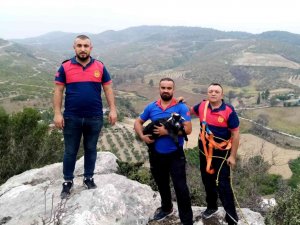 Kayalıklarda Mahsur Kalan Keçi Yavrusu Kurtarıldı