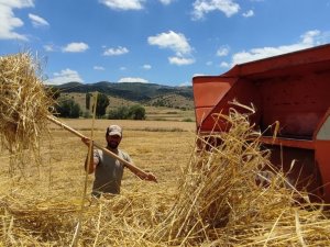 Kışlık Yem Hazırlıkları Hızlandı
