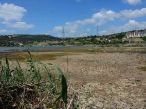 Doğal Gölette Ortaya Çıkan Manzara Endişelendirdi